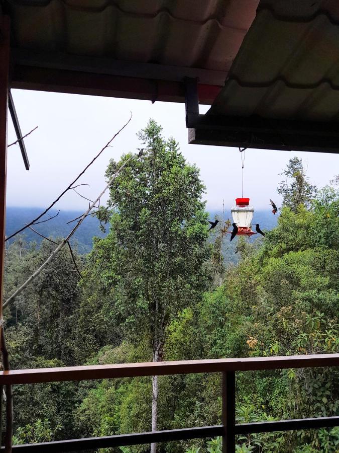 ميندو Sendero De Las Aves المظهر الخارجي الصورة