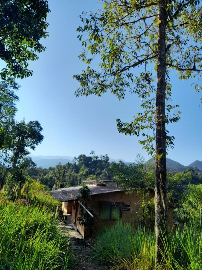ميندو Sendero De Las Aves المظهر الخارجي الصورة