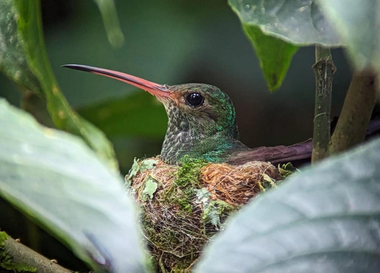 ميندو Sendero De Las Aves المظهر الخارجي الصورة