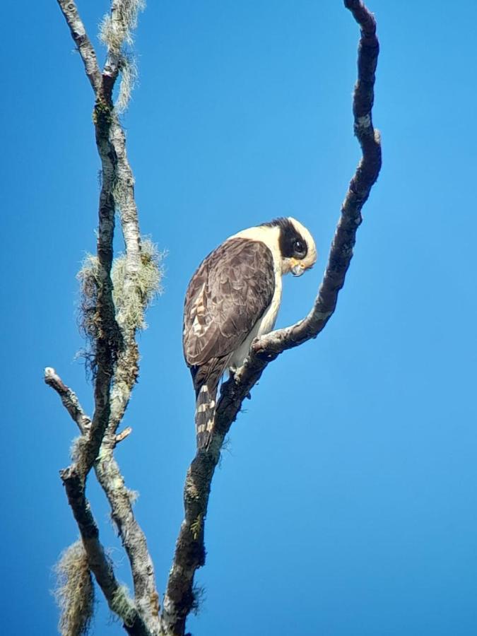 ميندو Sendero De Las Aves المظهر الخارجي الصورة