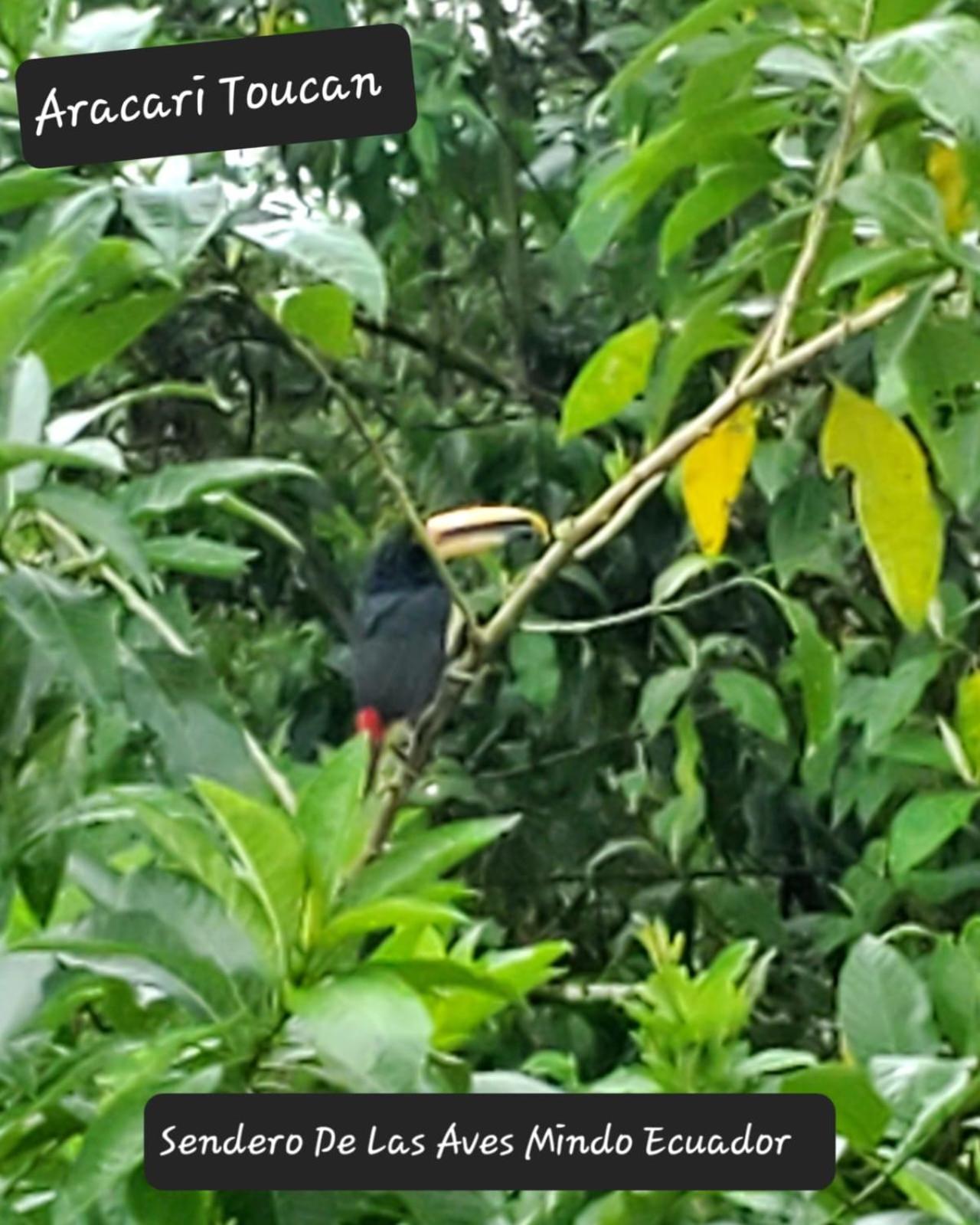 ميندو Sendero De Las Aves المظهر الخارجي الصورة