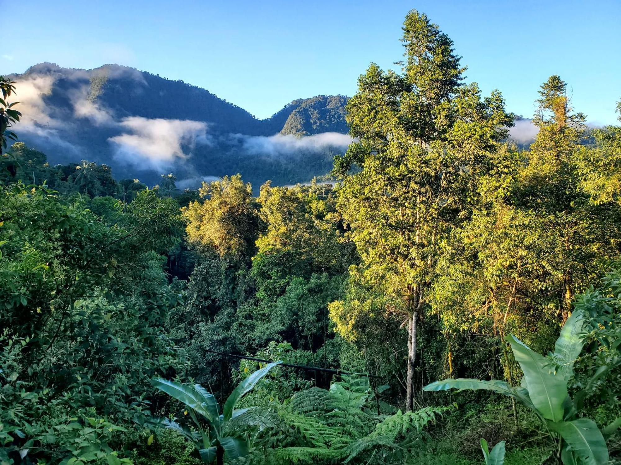 ميندو Sendero De Las Aves المظهر الخارجي الصورة