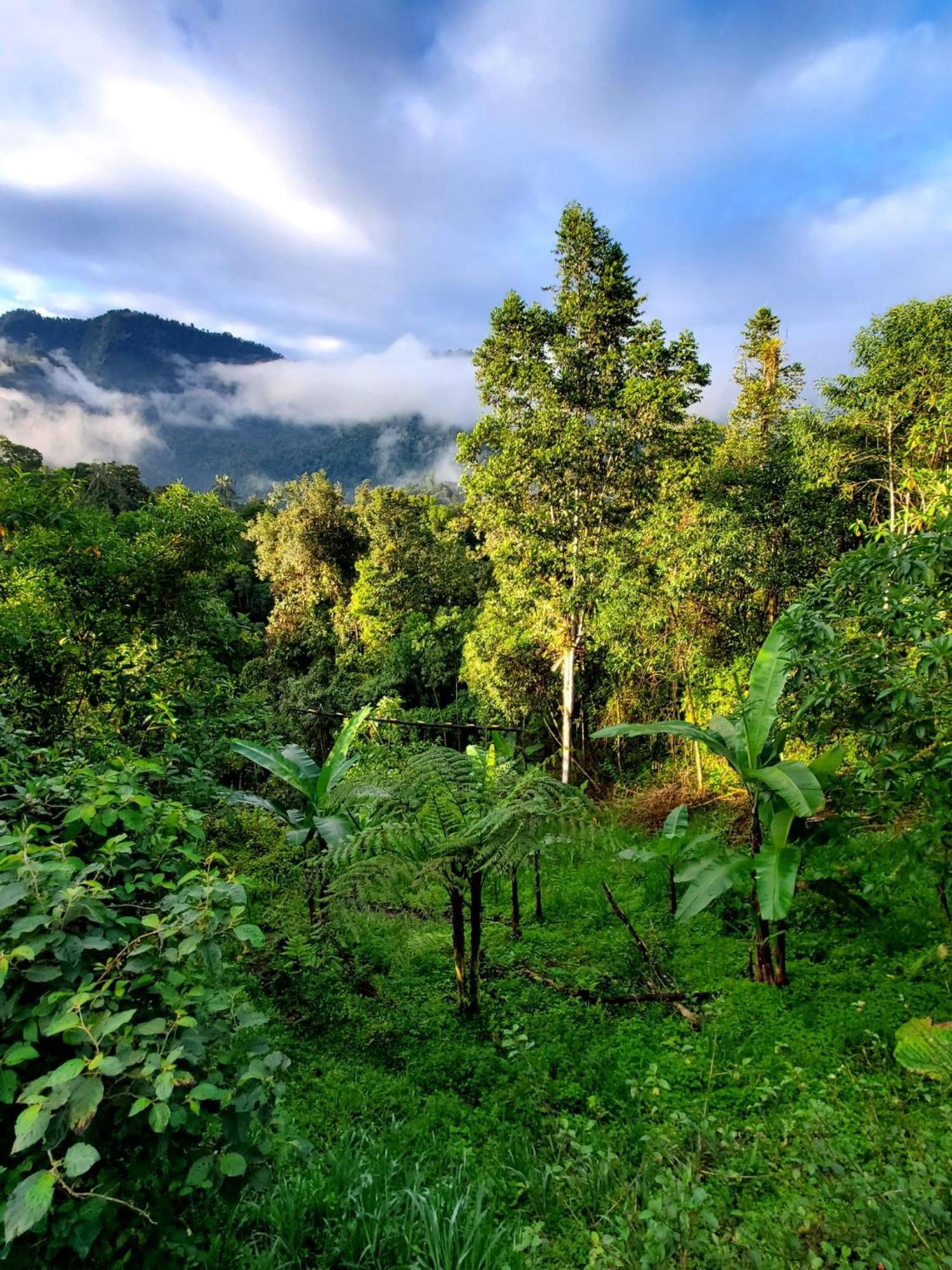 ميندو Sendero De Las Aves المظهر الخارجي الصورة
