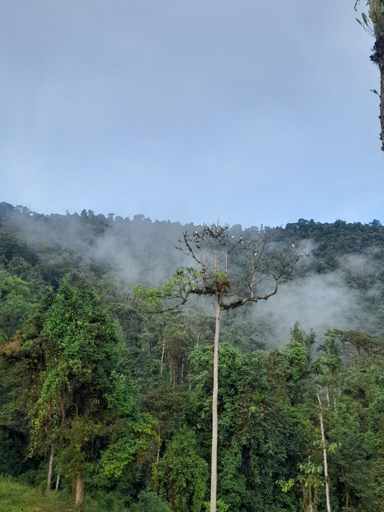 ميندو Sendero De Las Aves المظهر الخارجي الصورة