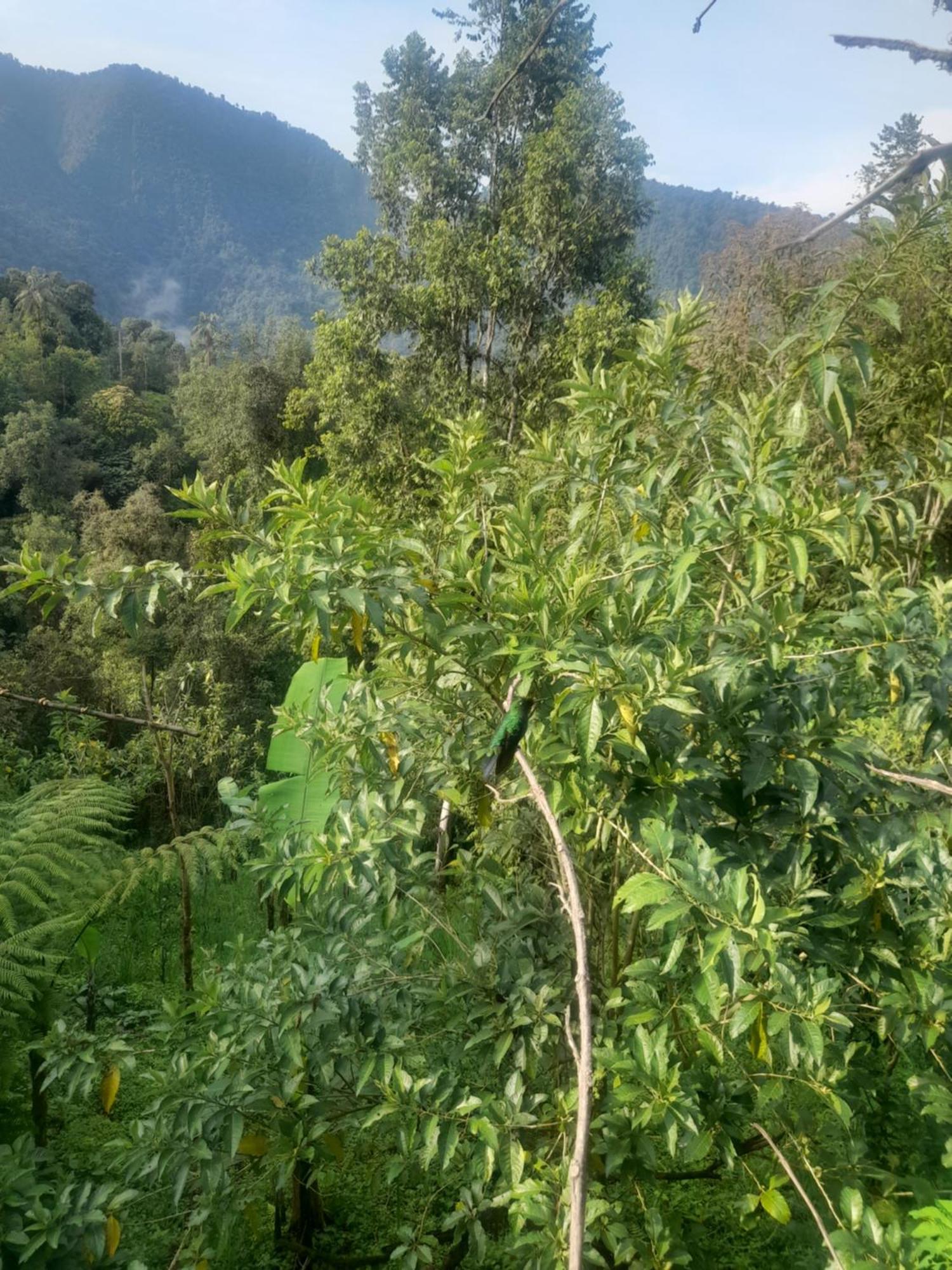 ميندو Sendero De Las Aves المظهر الخارجي الصورة