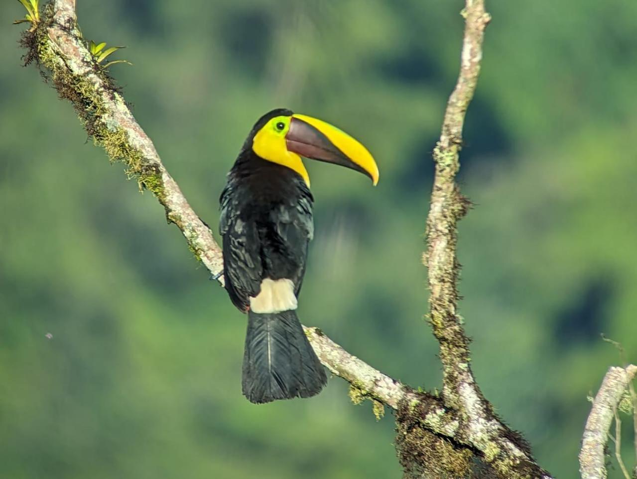 ميندو Sendero De Las Aves المظهر الخارجي الصورة