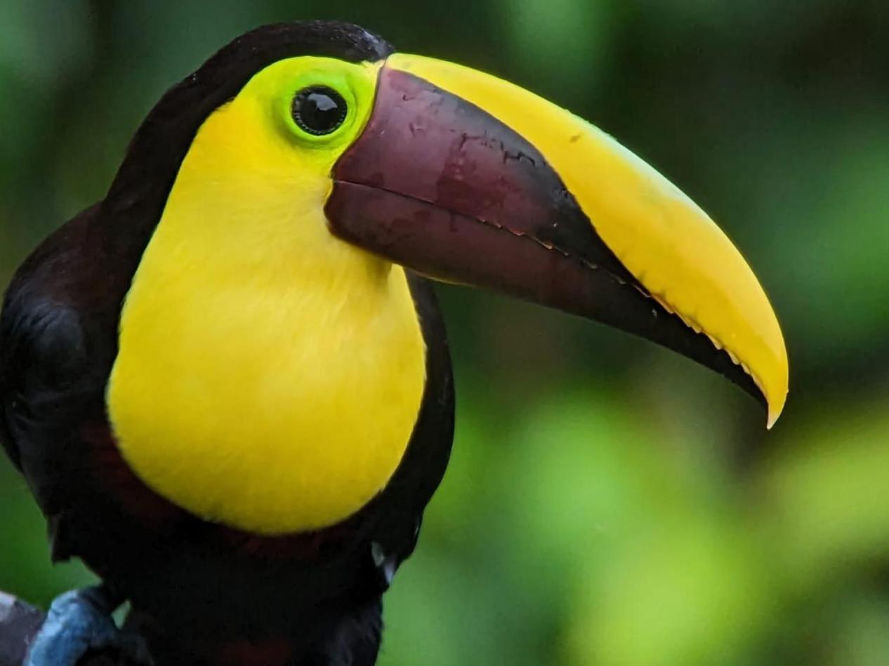 ميندو Sendero De Las Aves المظهر الخارجي الصورة